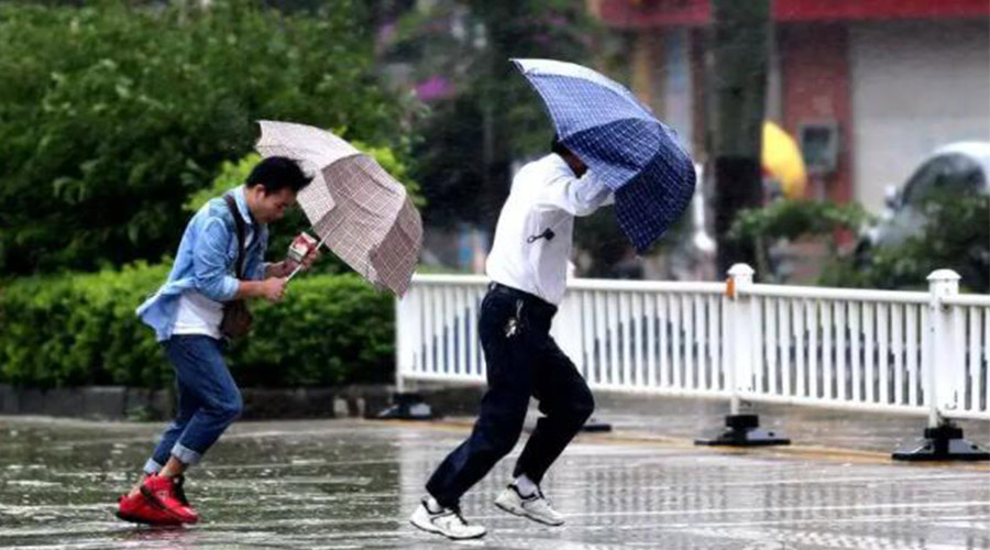 9號臺風“馬鞍”生成！金環(huán)電器提醒大家要注意的事項