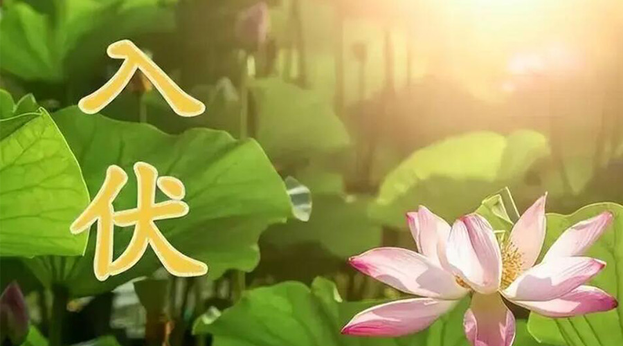 入伏天來(lái)襲！金環(huán)電器提醒大家要注意的事項(xiàng)