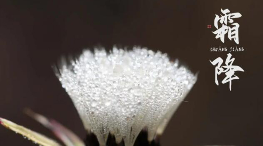 霜降時(shí)節(jié)！金環(huán)電器提醒大家要注意的事項(xiàng)