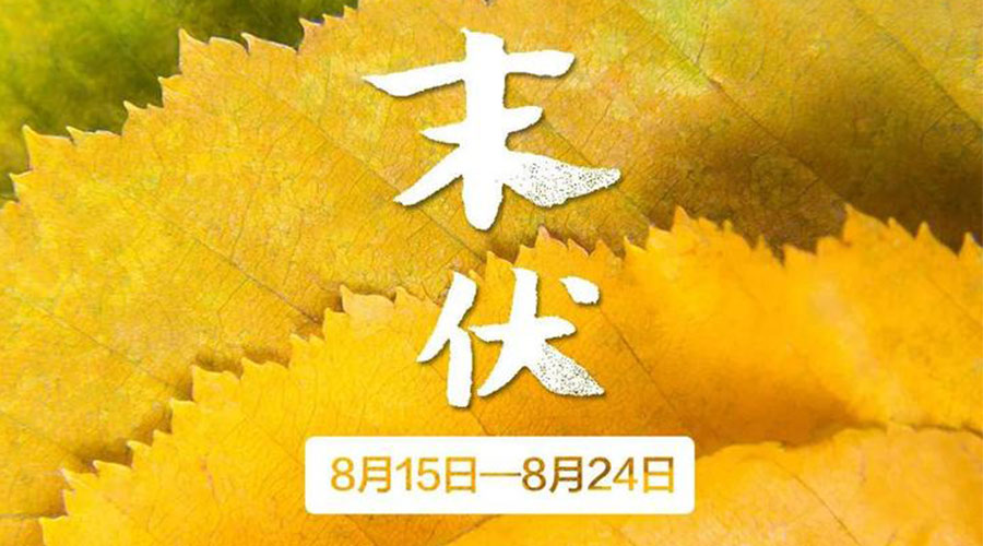 末伏時節(jié)！金環(huán)電器提醒你謹(jǐn)記這些注意事項