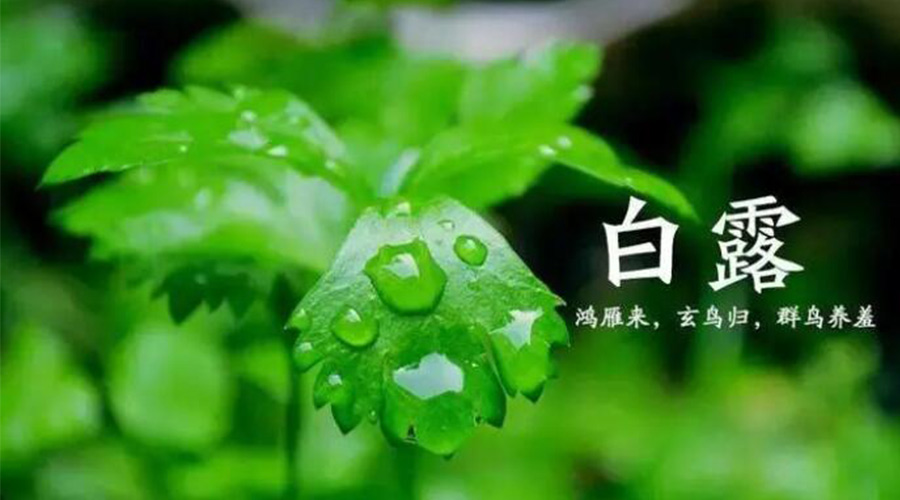 白露時節(jié)！金環(huán)電器提醒大家要注意的事項